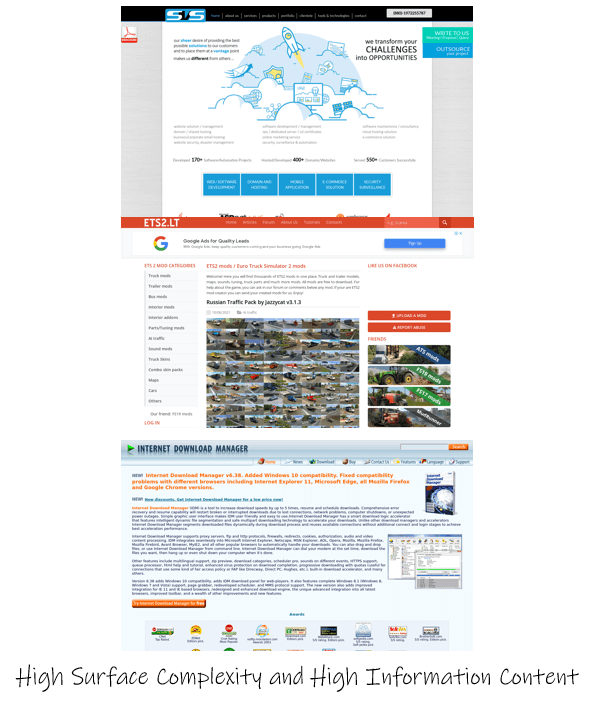 example-of-websites-with-high-surface-complexity-high-information-content