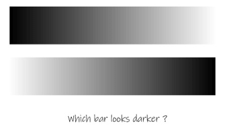 whic-bar-is-darker