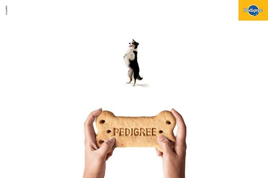 dog-pedigree-example-visual-metaphor-advertising-symbol