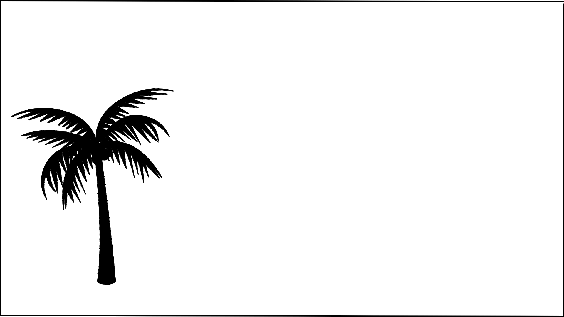 coconut-tree-proportion-symmetry-negative-space-white-space-active-passive-space